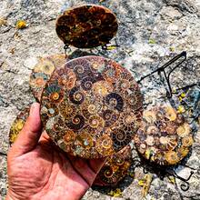 1pc Exquisite 4.33-5.12 Inch Almond-Shaped Round Quartz Slab, Chrysanthemum Stone Slab, Rock And Crystal Display Piece, Home Desktop Decor, Gift For Handmade Enthusiasts, Christmas And Thanksgiving Gift - Multicolor - View 10