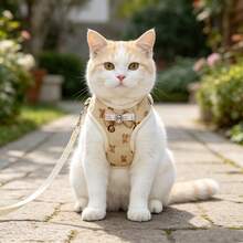 1 Set Adorable Pet Harness And Leash Set,Cute Bear Pet Harness & Leash Set With Gemstone Bow Decoration For Cats And Dogs,Anti-Escape Pet Harness Leash Set For Outdoor Walking - Multicolor - View 10