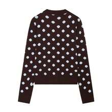 Liorin Autumn/Winter New Women's European And American Style Fashion Minimalist Polka Dot Knit Cardigan - Brown - View 4
