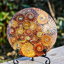 1pc Exquisite 4.33-5.12 Inch Almond-Shaped Round Quartz Slab, Chrysanthemum Stone Slab, Rock And Crystal Display Piece, Home Desktop Decor, Gift For Handmade Enthusiasts, Christmas And Thanksgiving Gift - Multicolor - View 3