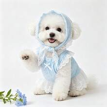 Pet Princess Dress 2 Pieces Set: Fresh Light Blue Mini Floral Dress With Delicate Lace Bow Headband, Suitable For Cats, Dogs And Small Breeds, Country Style Pet Birthday Party Outfit - Multicolor - View 3