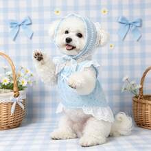 Pet Princess Dress 2 Pieces Set: Fresh Light Blue Mini Floral Dress With Delicate Lace Bow Headband, Suitable For Cats, Dogs And Small Breeds, Country Style Pet Birthday Party Outfit - Multicolor - View 8