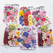 Natural Dried Pressed Flowers For Candle Decoration Resin DIY Crafts, Real Dried Flowers For Bookmark Jewelry Making, Candle Making, Soap Making, Phone Cases, Mirror Decoration, Notebooks, Please Note: The Shape And Color Of The Flowers May Differ From The Images. (Processed And No Pest Risk) - Beautiful Flowers - View 4