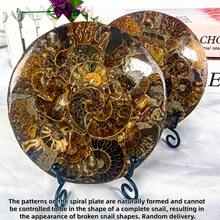 1pc Exquisite 4.33-5.12 Inch Almond-Shaped Round Quartz Slab, Chrysanthemum Stone Slab, Rock And Crystal Display Piece, Home Desktop Decor, Gift For Handmade Enthusiasts, Christmas And Thanksgiving Gift - Multicolor - View 9