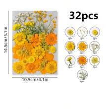 Natural Dried Pressed Flowers For Candle Decoration Resin DIY Crafts, Real Dried Flowers For Bookmark Jewelry Making, Candle Making, Soap Making, Phone Cases, Mirror Decoration, Notebooks, Please Note: The Shape And Color Of The Flowers May Differ From The Images. (Processed And No Pest Risk) - Beautiful Flowers - View 24