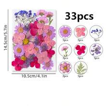 Natural Dried Pressed Flowers For Candle Decoration Resin DIY Crafts, Real Dried Flowers For Bookmark Jewelry Making, Candle Making, Soap Making, Phone Cases, Mirror Decoration, Notebooks, Please Note: The Shape And Color Of The Flowers May Differ From The Images. (Processed And No Pest Risk) - Beautiful Flowers - View 18