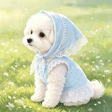 Pet Princess Dress 2 Pieces Set: Fresh Light Blue Mini Floral Dress With Delicate Lace Bow Headband, Suitable For Cats, Dogs And Small Breeds, Country Style Pet Birthday Party Outfit - Multicolor - View 6