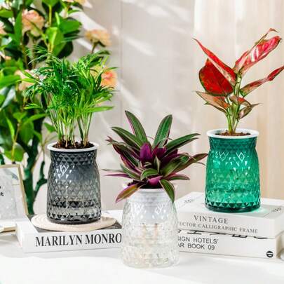 1/2/3/4pcs Creative Colorful Transparent Self-Watering Mini Flower Pots, Glass-Like Resin Planters For Soil And Hydroponic Plants, Suitable For Balcony, Office, Desktop Decoration And Living Room Creative Potted Plants, Exquisite And Beautiful