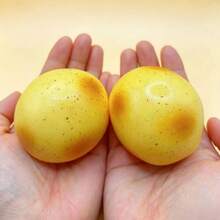 1pc Fluid Potato Squishy Stress Relief Toy, Southern Potato Slow Rebound Squeeze Toy - Multicolor - View 3