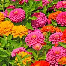 Nursery Planters - A Seed Packet - View 5