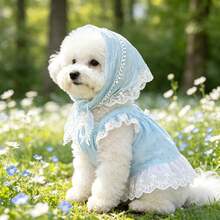 Pet Princess Dress 2 Pieces Set: Fresh Light Blue Mini Floral Dress With Delicate Lace Bow Headband, Suitable For Cats, Dogs And Small Breeds, Country Style Pet Birthday Party Outfit - Multicolor - View 7