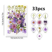 Natural Dried Pressed Flowers For Candle Decoration Resin DIY Crafts, Real Dried Flowers For Bookmark Jewelry Making, Candle Making, Soap Making, Phone Cases, Mirror Decoration, Notebooks, Please Note: The Shape And Color Of The Flowers May Differ From The Images. (Processed And No Pest Risk) - Beautiful Flowers - View 22