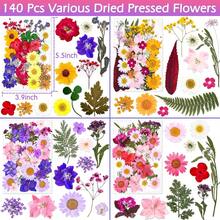Natural Dried Pressed Flowers For Candle Decoration Resin DIY Crafts, Real Dried Flowers For Bookmark Jewelry Making, Candle Making, Soap Making, Phone Cases, Mirror Decoration, Notebooks, Please Note: The Shape And Color Of The Flowers May Differ From The Images. (Processed And No Pest Risk) - Beautiful Flowers - View 6