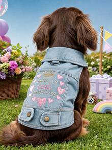 PETCIRCLE 1PC Pet Clothes Small Dog Puppy Cat Cute Pet Autumn/Winter Personalized Collar Design Outdoor With Leash Buckle Mommy's Princess Coat - Blue - View 1