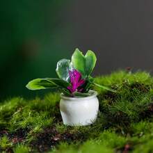 Mini Artificial Potted Plant, Resin Bonsai Faux Greenery In Square Planter, 3.5cm Miniature Plant Ornament For Office Desk, Home Decor, Bedside Table, Shelf, Dorm Room, Living Room & Small Space Decoration - Default - View 14