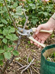 Garden Scissors Set - Perfect For Pruning, Trimming And Cutting Branches And Flowers, Gardening Pruning Shears, Plant Garden Clips, Bonsai And Fruit Picking - A - View 7
