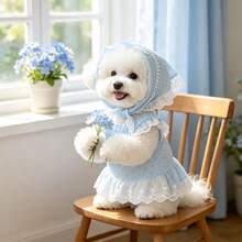 Pet Princess Dress 2 Pieces Set: Fresh Light Blue Mini Floral Dress With Delicate Lace Bow Headband, Suitable For Cats, Dogs And Small Breeds, Country Style Pet Birthday Party Outfit - Multicolor - View 5