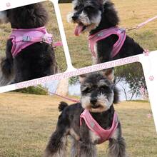 Pechera Arnés Transpirable Cómodo Con Correa Para Perro Gato - Rosa - Ver 4