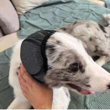 1pc Waterproof Dog Ear Covers, Pet Ear Muffs For Summer Swimming, Soothing And Calming, Noise Reduction To Relieve Pet Anxiety, Prevent Startle, Keep Clean - Multicolor - View 7