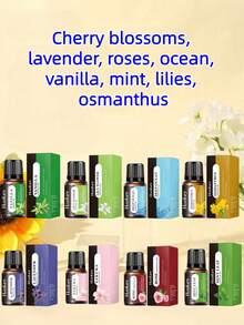 2/4/6/8/10/12PCS Aromatherapy Essential Oil Set Scented Essential Oil Diffuser Aromatherapy Candle Aromatherapy Burner Diffuser Stone Humidifier Car Aromatherapy Home Aromatherapy Essential Oil Refill - one-size - View 2