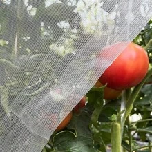 Vegetables Plant Insect Protection Net Garden Fruit Care Cover Network Greenhouse Protective Net Pest Control Anti-Bird Net - Multiple Styles - View 3