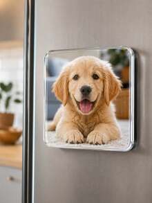 1/2/3件客製化照片壓克力冰箱磁鐵，個性化照片冰箱磁鐵，照片磁鐵，可愛冰箱磁鐵，強力冰箱磁鐵，趣味冰箱磁鐵，週年禮物，家居裝飾，節日禮物，週年禮物 - 彩色 - 查看 6