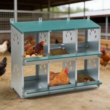 6 Compartment Chicken Nesting Box With 86° Egg Roll Design - Individual Nests With Sloped Bottom Allow For Easy Collection And Protect Against Breakage, 81 X 41 X 67 Cm - Green - View 7