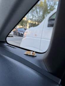 Cute Mini Corgi Car Dashboard Ornament, Realistic Resin Sleeping Puppy Figurine, Creative Fun Car Interior Decor Accessory, Suitable For Decorating Car Center Console - A - View 5