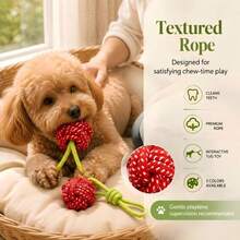 Cute Cherry Dog Chew Toy, Durable Interactive Training Tug Toy, Suitable For Medium And Small Dogs Chewing And Interaction, Multi-Functional Chew Rope, Indoor And Outdoor Training And Dental Cleaning, Designed For Heavy Chewers And Puppies - Black - View 7