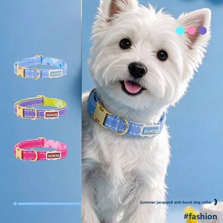 Kalung Hewan Peliharaan Tebal dengan Pola Jacquard yang Dapat Diatur, Dirancang untuk Anjing Kecil dan Sedang yang Berjalan di Luar Ruangan