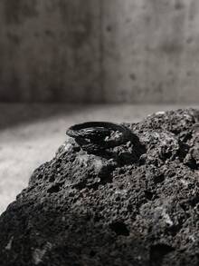 5 st mörka gotiska ormringar, Y2K punk ringset, Halloween ringset - Stil 1 - Visa 4
