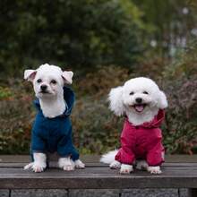 1 buah Jas Hujan Tahan Air Seluruh Tubuh untuk Anjing Ukuran Kecil hingga Sedang, Setelan Pelindung Hujan Empat Kaki, Cocok untuk Teddy, Pomeranian, Bichon, dan Ras Anjing Lainnya - MultiWarna - View 5