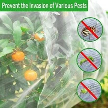 Vegetables Plant Insect Protection Net Garden Fruit Care Cover Network Greenhouse Protective Net Pest Control Anti-Bird Net - Multiple Styles - View 7