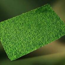 Artificial Grass Dog Pee Pad, Indoor/Outdoor Universal Dog Urine Mat, Simulated Grass Dog Pee Pad - View 8