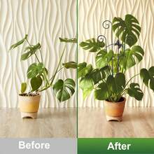1件裝植物攀爬支架/格柵,可彎曲自定義塑膠植物支撐樁,適用於室內外花園盆栽攀緣植物與花卉 - 多色 - 查看 9