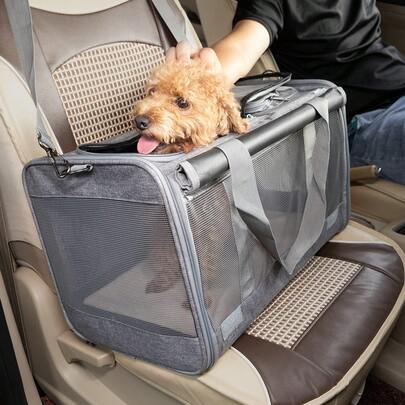 Faltbare transportbox katze, hundebox, Transporttasche für Katzen und kleine Hunde, atmungsaktive Netz Haustiertasche, tragbare Katzentransportbox mit Schultergurt, geeignet für Auto, Reisen und Ausflüge