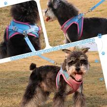 Pechera Arnés Transpirable Cómodo Con Correa Para Perro Gato - Multicolor - Ver 4