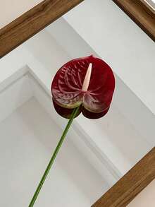 Artificial Red Anthurium Flower, DIY Wedding Bridal Party Bouquet Centerpiece Floral Arrangement, Home Office Living Room Bookshelf Decor, Gift For Plant Lovers And Homeowners - Multicolor - View 8