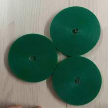 Petites sangles à crochets et boucles pour jardin, sangles de fixation pour plantes, ruban de fixation de branches, lien de branches, fournitures de jardinage pour fleurs et plantes, décoration de jardin et balcon, fournitures de plantation, accessoires pour pots de fleurs et conteneurs - Vert - Voir 20