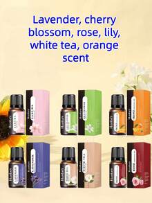 2/4/6/8/10/12PCS Aromatherapy Essential Oil Set Scented Essential Oil Diffuser Aromatherapy Candle Aromatherapy Burner Diffuser Stone Humidifier Car Aromatherapy Home Aromatherapy Essential Oil Refill - one-size - View 4