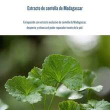 Skin Care Sets - Centella Asiatica - View 3