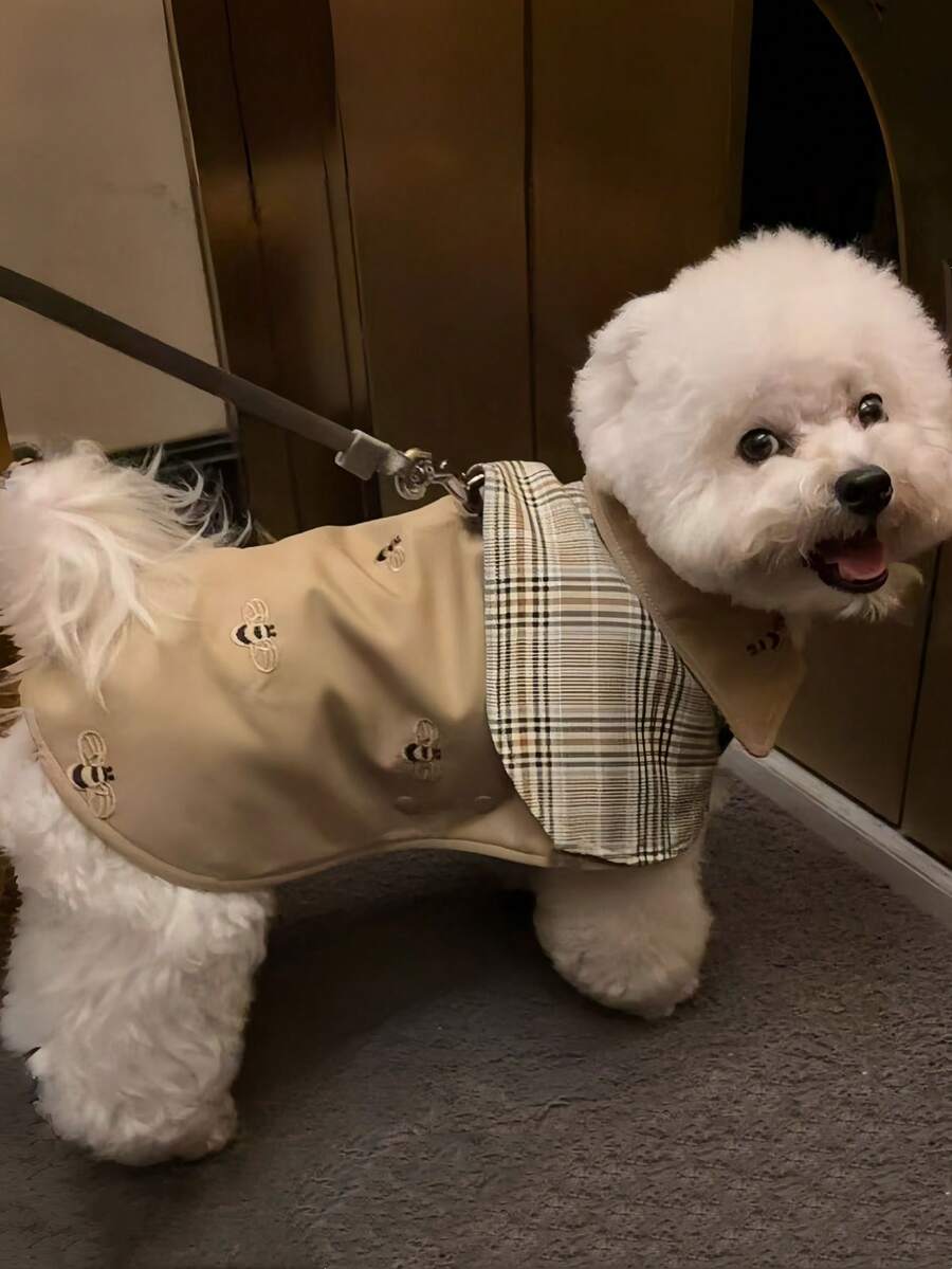 1pc Pet Autumn/Winter Fashion Windproof Cape Coat, Suitable For Dogs, Cats, Teddy, Bichon, Schnauzer And Other Breeds, Gentleman Style Pet Clothes, All-Season Vintage Detective Cape With British Tie And Plaid Design, For Small And Medium Dogs
