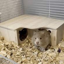 1 buah Rumah Persembunyian Hamster Kayu dengan Banyak Ruang, Platform Sarang Lanskap, Dirancang untuk Hamster, Gerbil Kecil, Tikus, dan Hewan Berukuran Serupa Lainnya - A - View 1