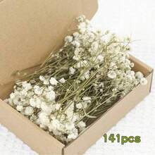100/50pcs Mini Breathable Artificial Flowers, Realistic Baby's Breath And Other White And Pearl White Artificial Flowers - For Wedding Welcome Area, Dried Flowers, Boutonniere, Wedding Decoration, Invitation Envelope Decoration, DIY Crafts, Gifts - Multicolor - View 16