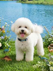 藍色多色恐龍寵物項圈附銀色鈴鐺，手工製貓狗通用項圈，Happy Little Dog 寵物用品，適合小型至中型貓狗全年佩戴，室內或戶外玩耍適用 - 藍色 - 查看 5