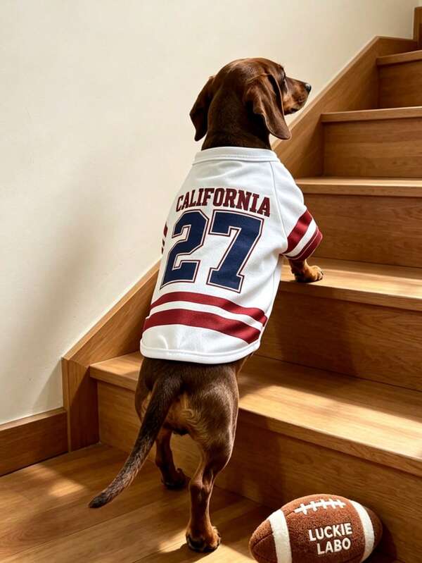 LUCKIE PAL 1pc CALIFORNIA Letter 27 Number Jersey Pattern Pet T-Shirt, College Style, Reduces Shedding, Physical Dust-Proof, Fashion Pet Clothing Suitable For Large And Small Cats And Dogs, Indoor And Outdoor