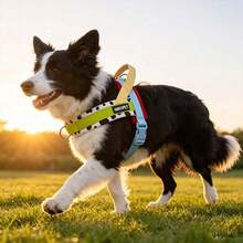 1PC New Cow Print Color Block Saddle Style Pet Dog Harness And Leash Set, Easy To Put On And Take Off, Comfortable Lining, Adjustable Size, Integrated Anti-Pull Handle, Matching Pattern Leash, Fashionable And Cute, Durable Polyester Material, Suitable For Small And Medium Dogs, Perfect For Daily Walks, Outdoor Hiking, Camping And Picnics - Green - View 5