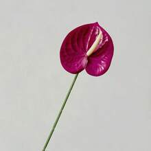 Artificial Red Anthurium Flower, DIY Wedding Bridal Party Bouquet Centerpiece Floral Arrangement, Home Office Living Room Bookshelf Decor, Gift For Plant Lovers And Homeowners - Multicolor - View 11