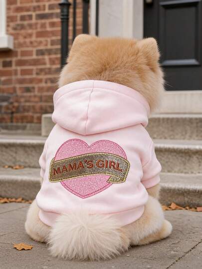 1PC Pet Clothes 2026 Autumn/Winter New Small Dog Puppy Cat Cute Pet Warm Hooded Embroidered Pattern Mom-Baby Style Sweatshirt
