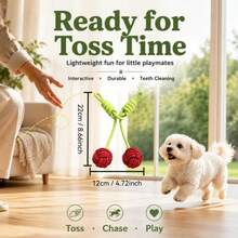 Cute Cherry Dog Chew Toy, Durable Interactive Training Tug Toy, Suitable For Medium And Small Dogs Chewing And Interaction, Multi-Functional Chew Rope, Indoor And Outdoor Training And Dental Cleaning, Designed For Heavy Chewers And Puppies - Black - View 2